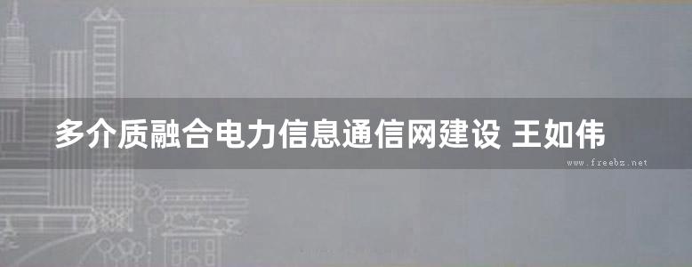 多介质融合电力信息通信网建设 王如伟 (2017版)